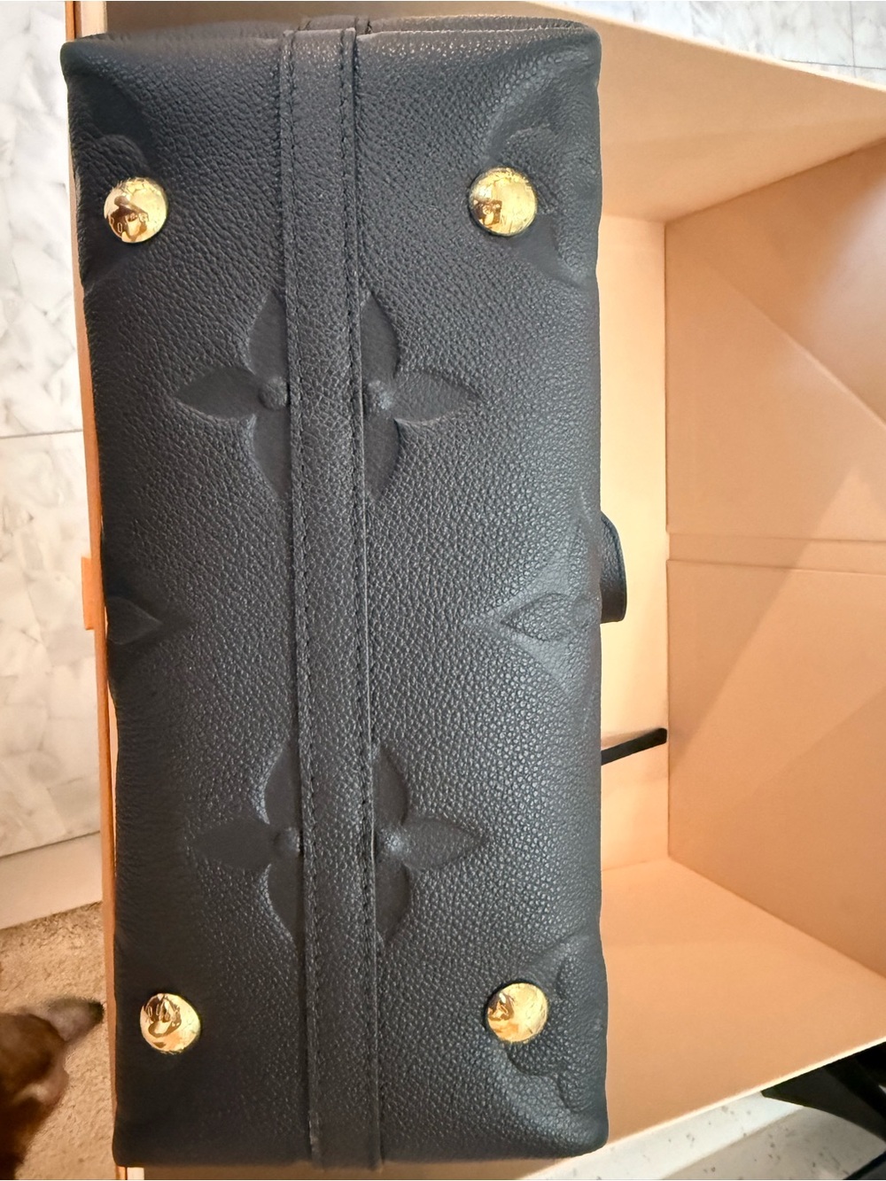 Louis Vuitton CarryAll PM - Picture 9 of 14